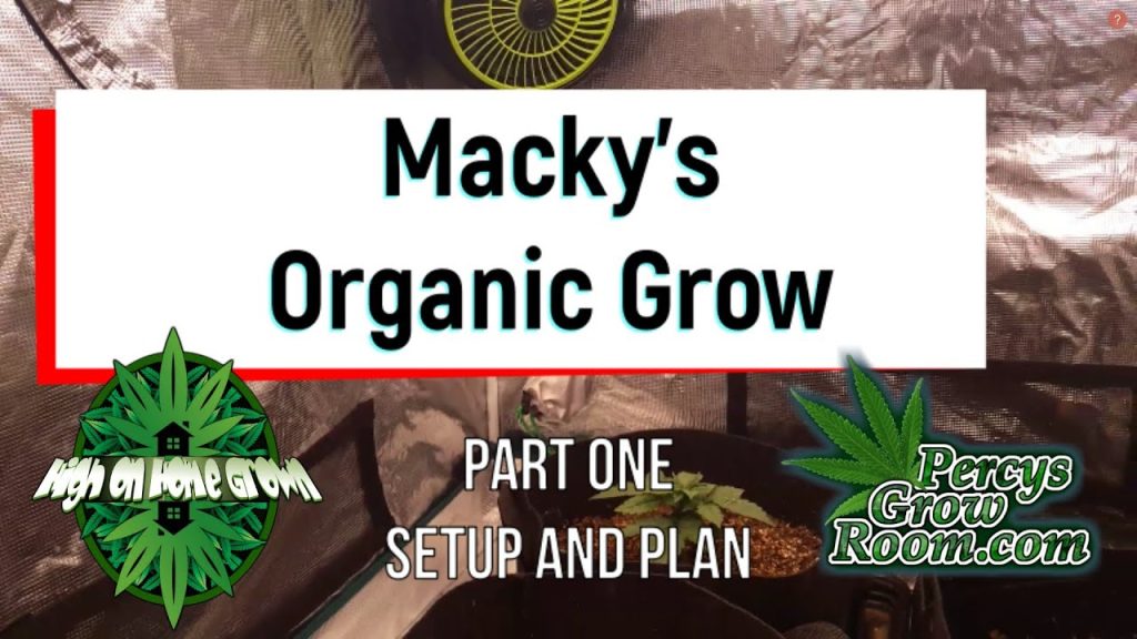 Living Soil Cannabis Grow Diary, Part 1, Setup and Plan | TopHempInfo.com