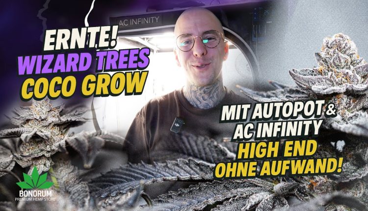 1753619648_maxresdefault.jpg