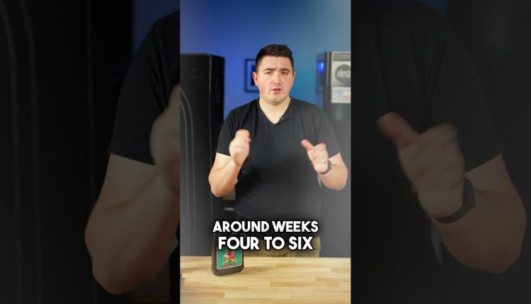 1771956911_maxresdefault.jpg