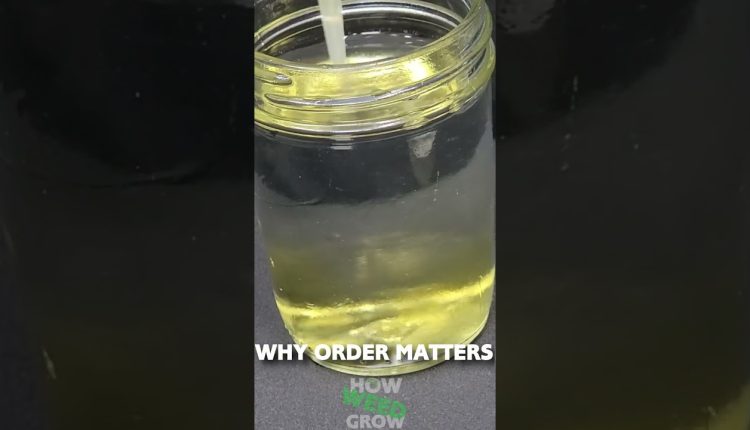 1773858458_maxresdefault.jpg