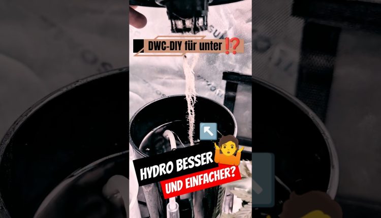 1785946102_maxresdefault.jpg